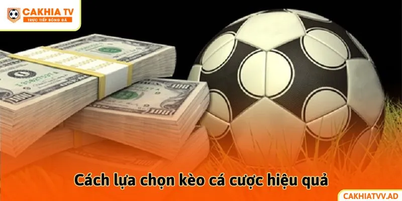 Cách lựa chọn kèo cá cược hiệu quả
