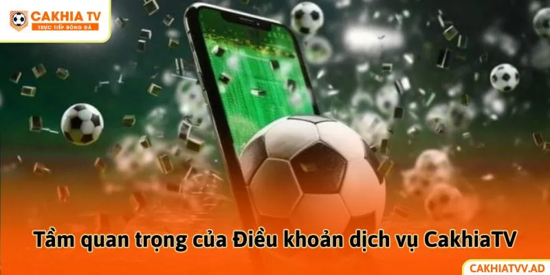 Tầm quan trọng của Điều khoản dịch vụ CakhiaTV