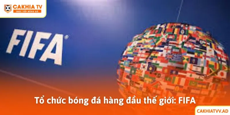 Tổ chức bóng đá hàng đầu thế giới: FIFA